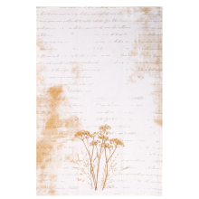 Ściereczka kuchenna Country Collection RAVI